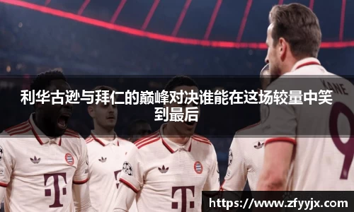 英国正版365官方网站